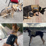 Hundegeschirr BW taktische Hundeweste Trainingsweste Haustier Harness Leine Set für kleine mittelgroße große Hunde