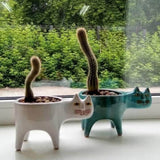Keramik-Sukkulenten-Blumentöpfe, Nette Katzenform mit Katzenschal, Pflanzenbehälter Blumentöpfe für Sukkulenten, Kakteen